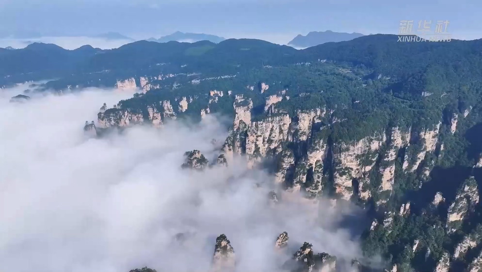 张家界:秋色染峰林 云海引客来