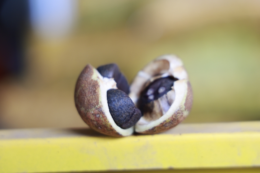 202510314768008676de4d7bb5966d643750f6b6_202510297c0b3a9dda524160b94b5de12c896168.png 202510314768008676de4d7bb5966d643750f6b6_202510297c0b3a9dda524160b94b5de12c896168.png