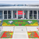 规模再创新高！一图了解第八届进博会新亮点