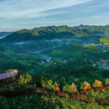 湖南桂东：五年深耕筑生态 绿水青山结“富果”