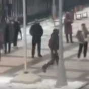 俄莫斯科州一学校发生袭击事件 已致1名儿童死亡