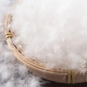 羽绒服“漏绒”致呼吸衰竭！医生：警惕“羽绒肺”