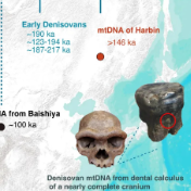 “我们从哪里来”？有了新答案！