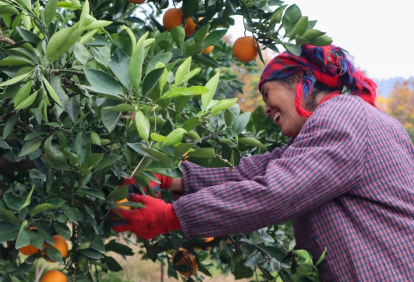 湖南邵阳：千年古城“万般变”