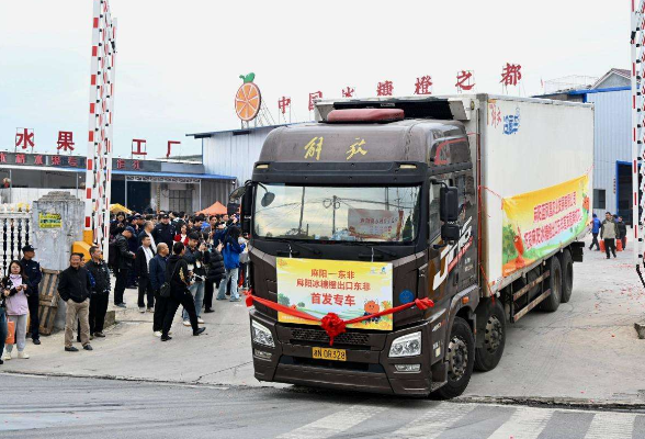 湖南怀化：一颗橙子“闯”全球