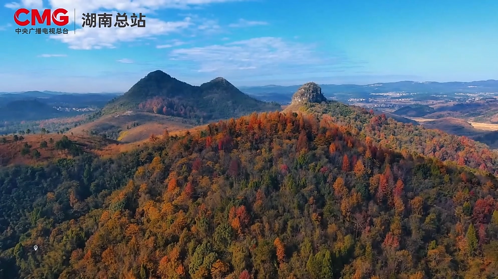 这片“彩色林海” 把冬日浪漫拉满
