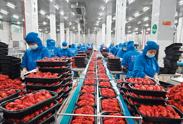 瞭望丨南县稻虾产业何以全国领先