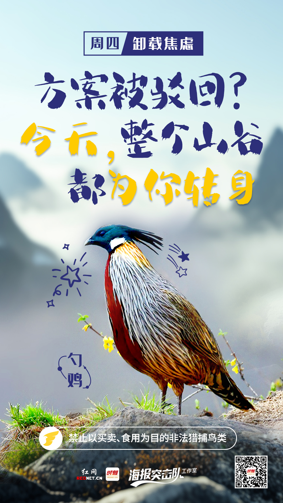 微信图片_20250416164659.jpg