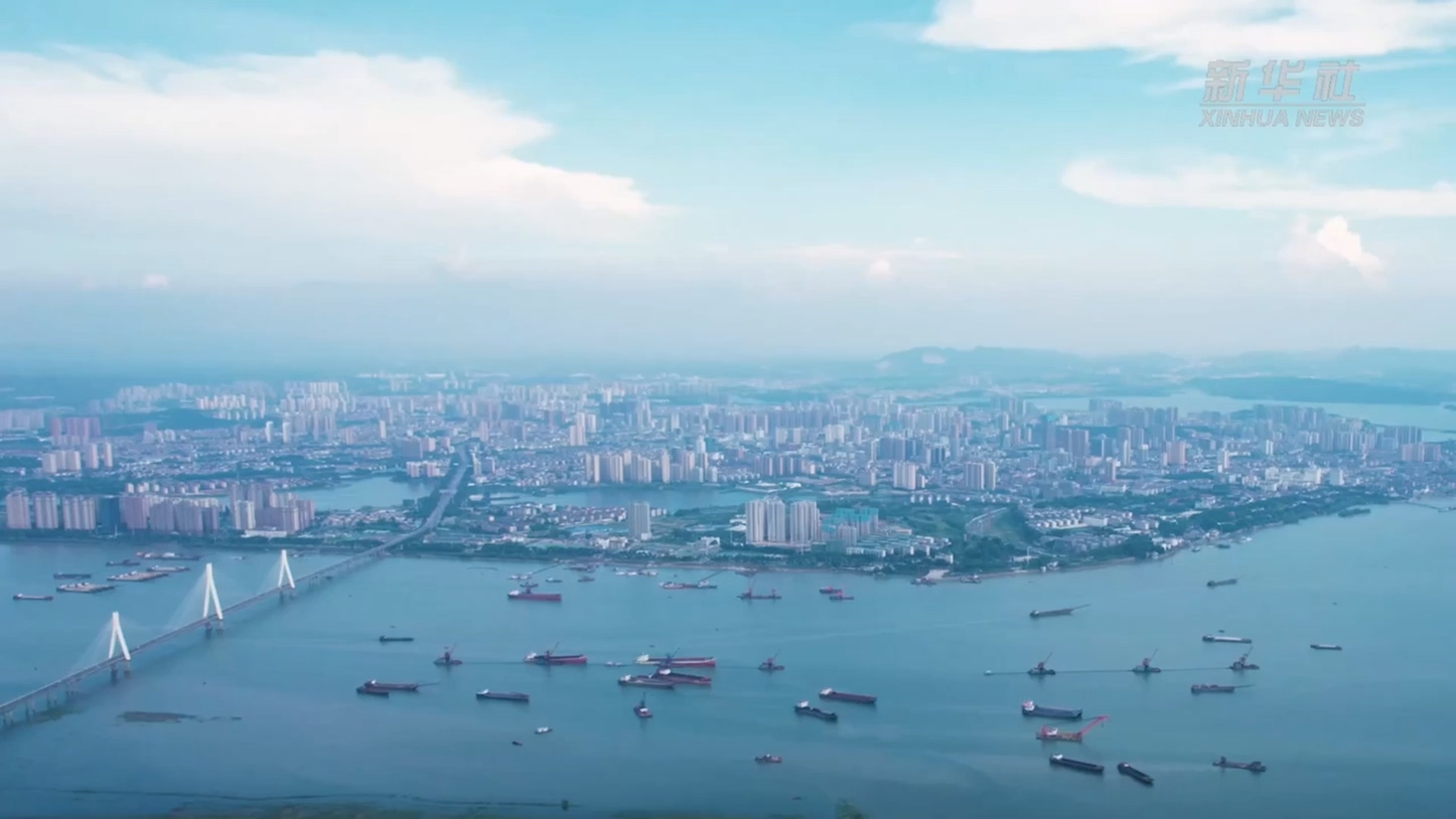 渔味承匠心 南湖纳百客