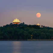 🌕月亮“拍了拍”你说：今天15时44分，记得抬头看！