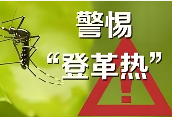 湖南疾控：登革热“病毒快递”来袭 请留心