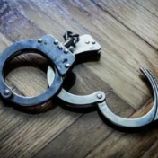 依法严打危害鸟类等野生动物犯罪！公安机关侦破一批大要案件