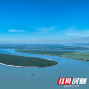 我住湘江边⑧丨哨声唤来“微笑天使”，江豚湾老友常相逢