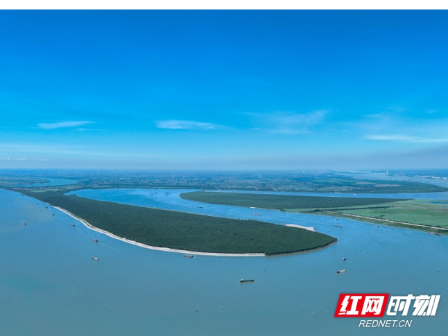 我住湘江边⑧丨哨声唤来“微笑天使”，江豚湾老友常相逢