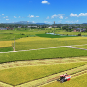农业大省挺起“脊梁”——湖南上半年农业经济运行稳中向好