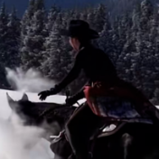 官方回应“贺娇龙被传去世”:还在核实;工作人员:仍在医院,没有去世