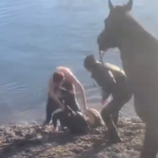 点赞！ 19岁新疆小伙跳入冰河救人