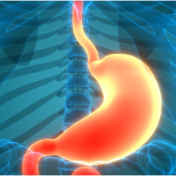 注意啦！你以为的养胃方法也许正在悄悄伤胃