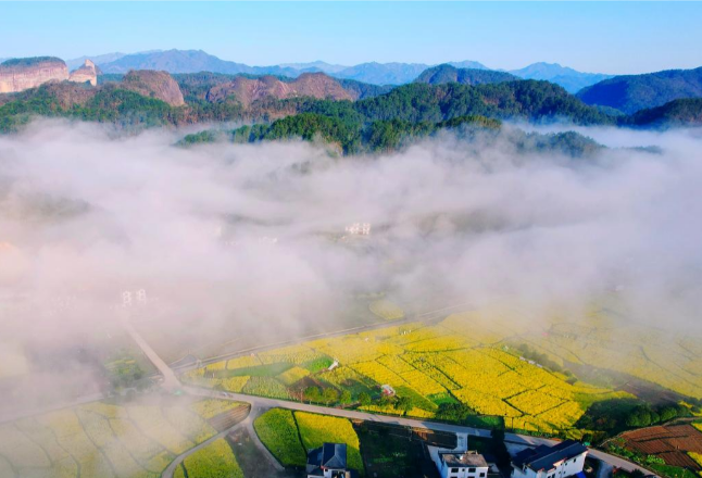 新宁：邂逅崀山赏花海 丹霞“金浪”醉游人