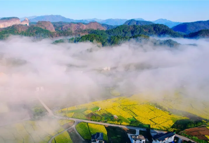 新宁：邂逅崀山赏花海 丹霞“金浪”醉游人