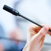 四项重点任务、两大支撑保障！今年“三农”工作重点明确