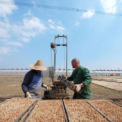三湘大地备春耕
