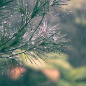 部分地区温度降幅可达10℃以上 厚衣服先别着急收起来