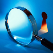 云南成立调查组严查冻干草莓产业链违法违规