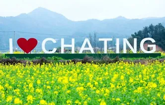 望城这些地方的油菜花海等你来打卡