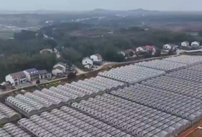 汨罗：抢抓农时忙春耕