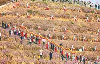 蹲点十村，看乡村振兴再出发丨新华蹲点调研