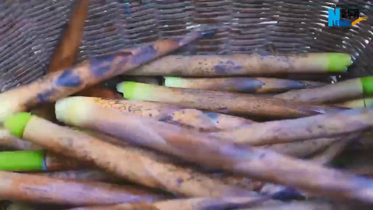 春笋炒腊肉，一口品味山间的春天