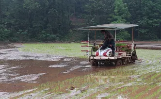 千城百县看中国丨湖南衡阳：机械化助力早稻高效移栽