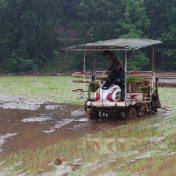 千城百县看中国丨湖南衡阳：机械化助力早稻高效移栽