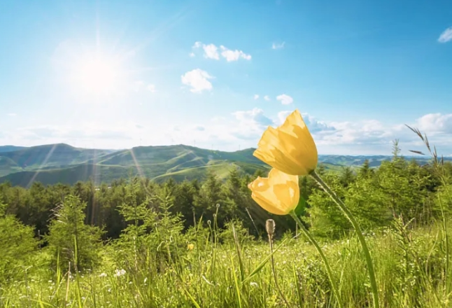 湖南短暂放晴气温升 周日晚开始有强降雨天气过程