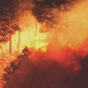 日本发生大规模山林火灾 约2000人被疏散