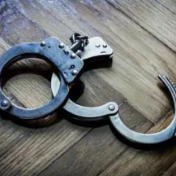 去年以来立案侦办侵犯知识产权等案3.1万起 典型案例详情披露→