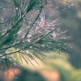 北方大部晴暖少雨 南方有较强降雨！“五一”出游气象提示→