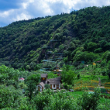 “五一”跟团游注意！避免“强制消费”等乱象 签合同认准新版