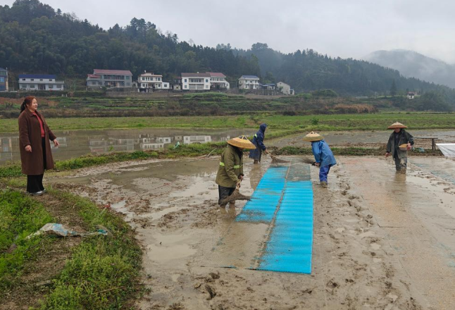 湖南安化：把山村里的耕地连成片