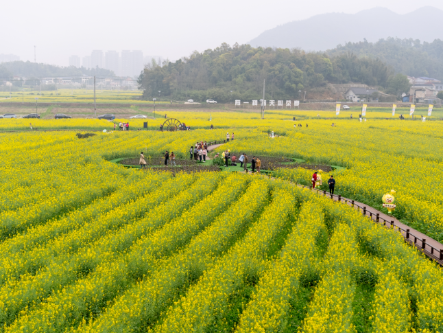 374亿！清明假期消费不止踏青，湖南这些场景也很火