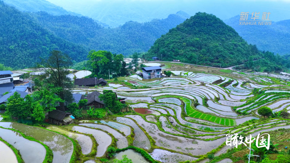 东安：塘家梯田蓄水如画
