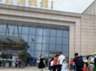 五一小长假 湖南省地质博物馆预约限流保障安全