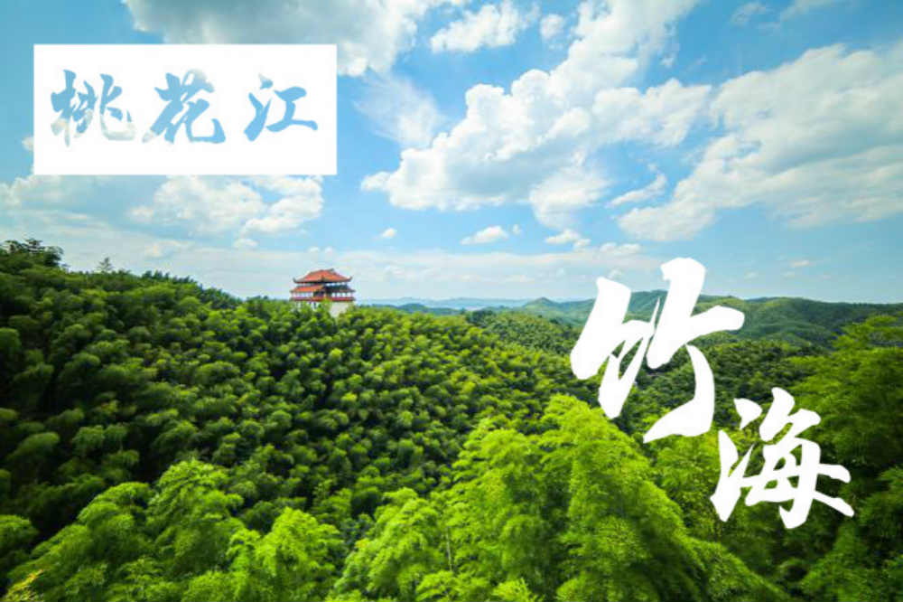 桃江是全国著名的楠竹之乡,桃花江竹海风景区位于桃花江益阳国家森林