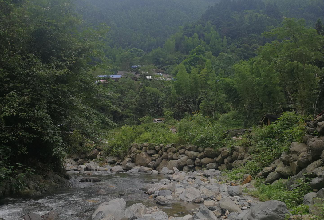 忠诚之路⑥丨陈树湘空树岩村再战湘南