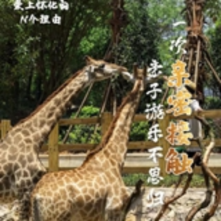 爱上怀化的N个理由丨一次亲密接触，亲子游乐不思归