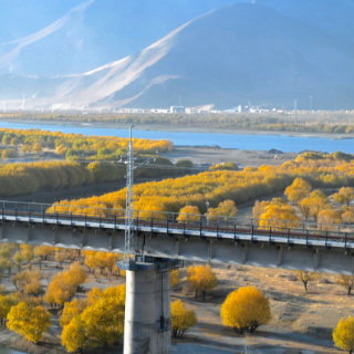 在西藏山南，秋迷恋上了冬