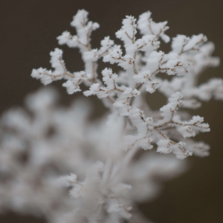 组图丨你要的雪花冰挂已送达 湖南各大景区迎来冬雪雾凇