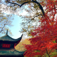 2022岳麓山红枫节11月20日启幕 将开展六大主题活动