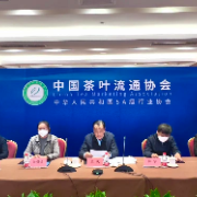 中国茶叶流通协会第七届会员代表大会成功召开，王庆当选第七届理事会会长